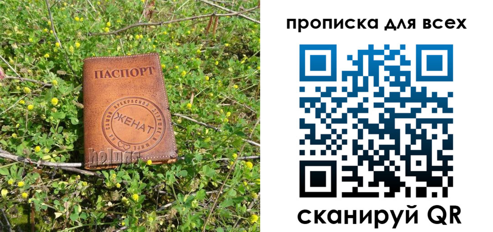 прописка поиск в Агиделе